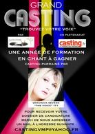 Vocal Music & Performing vous propose 1 an de formation artistique en partenariat avec Casting.fr !