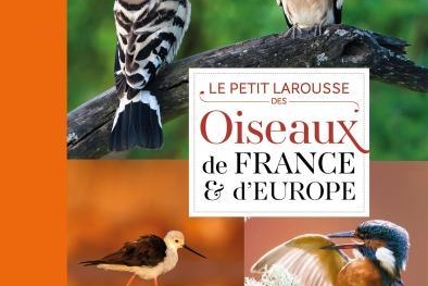 C'est Noël avant l'heure ! Demandez votre livre Larousse sur casting.fr