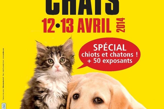 Salon Chiens Chats, les plus beaux animaux sur un même lieu !