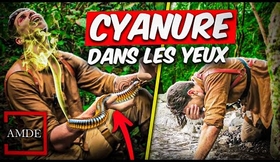 CYANURE DANS LES YEUX, Qu'est Ce Qu'il Se Passe ?! - AMDE (Nyssodesmus python)