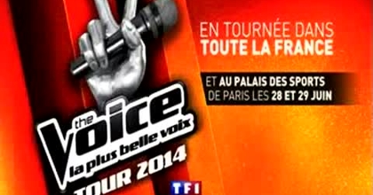 The Voice Tour 2014